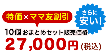 10個おまとめセット販売価格27,000円